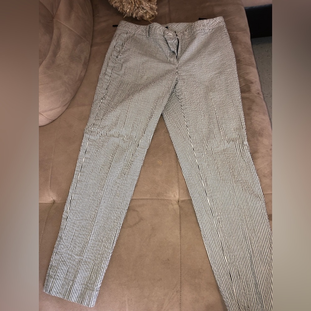 JONES NEW YORK WOMEN'S PANTS